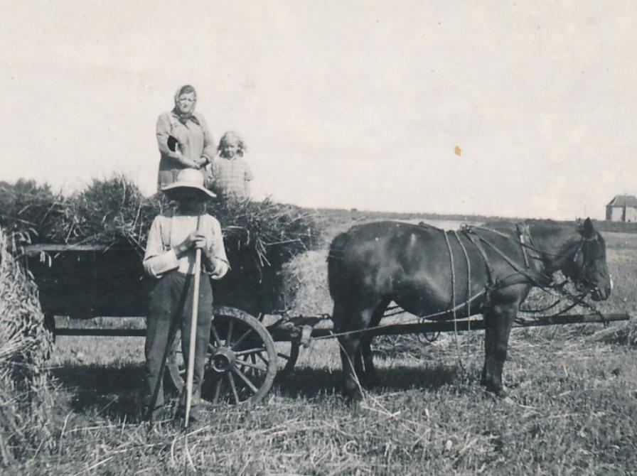 Sort-hvid foto af mand, kvinde og lille pige med en hestevogn læsset med halm.